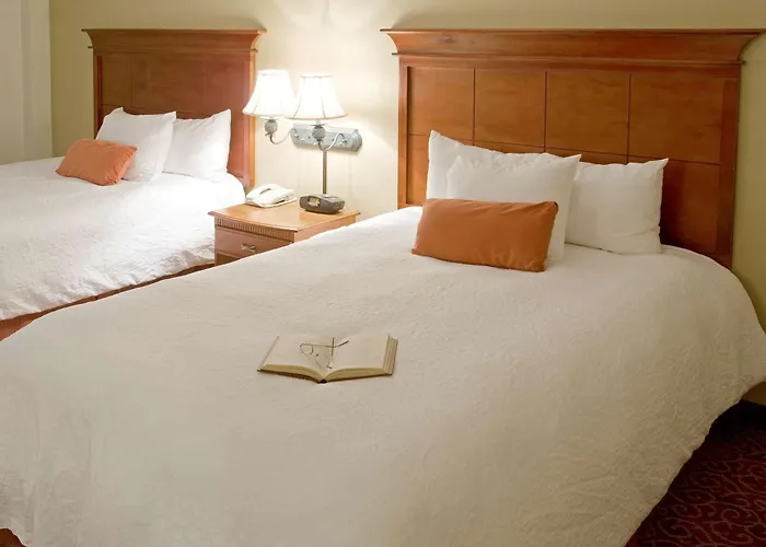 Hampton Inn & Suites Mccomb